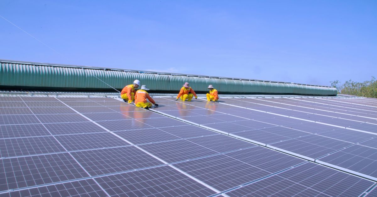 Comparing Different Types of Solar Panel Warranties